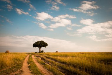 yol alanında, fırtınalı bulutlar ile bir ağaç