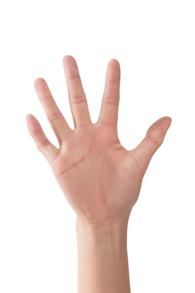 Human hand — Stock Photo, Image