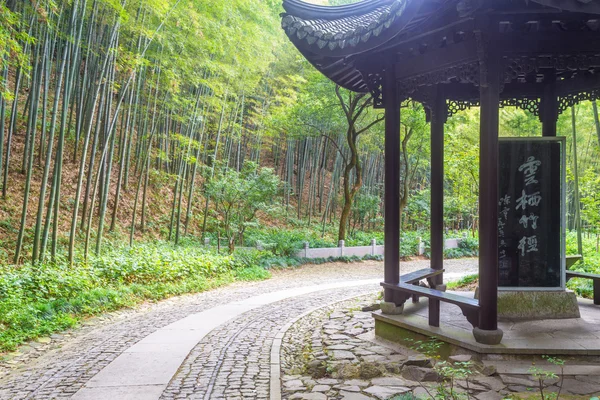 Pathway in the park — Stock Photo, Image