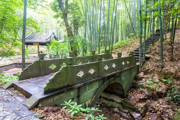 Weg in het park — Stockfoto