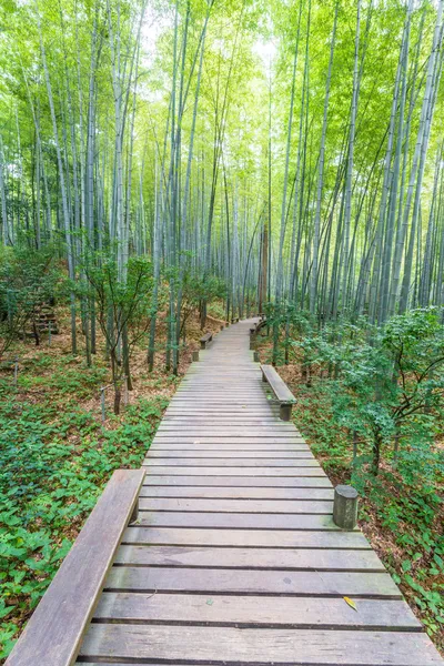 Weg in het park — Stockfoto