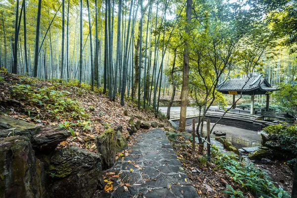 Pathway in the park — Stock Photo, Image