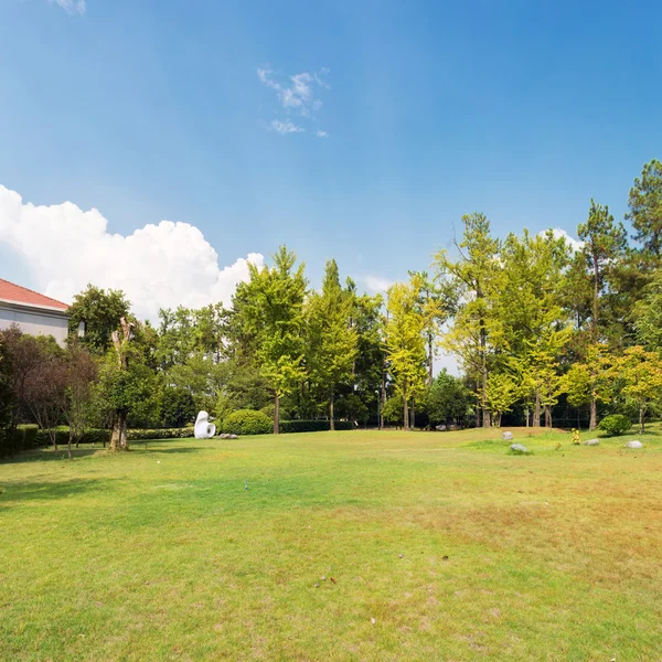 yeşil çim ve ağaçların altında mavi gökyüzü ile çayır