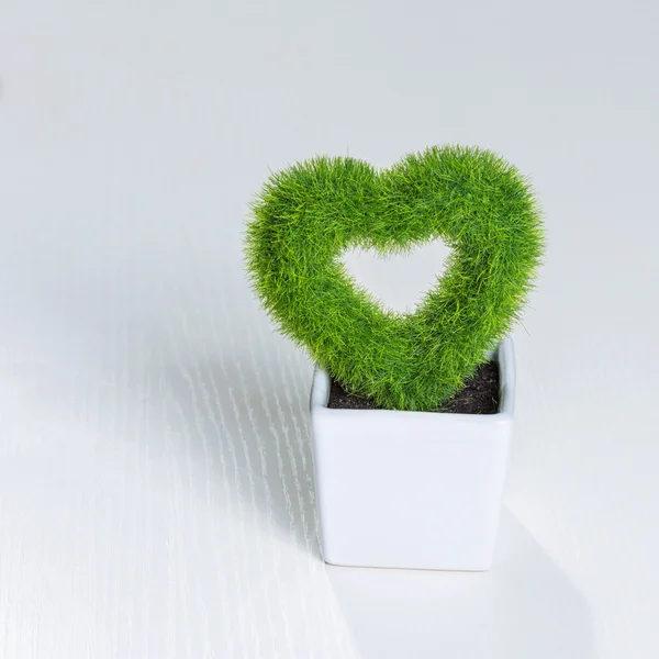 Kalp şeklinde bitki — Stok fotoğraf