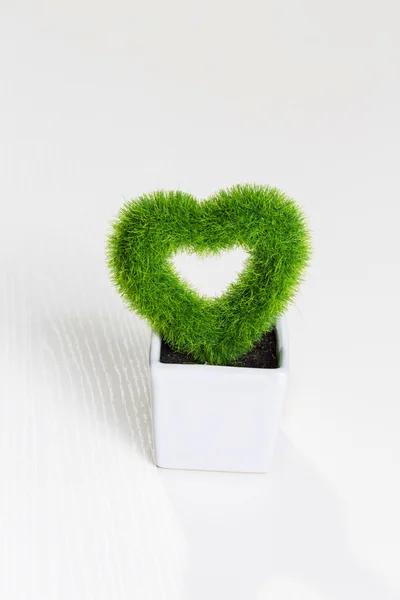 Herzförmige Pflanze — Stockfoto
