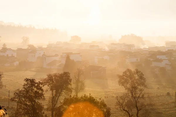 Landschap van de natuur — Stockfoto