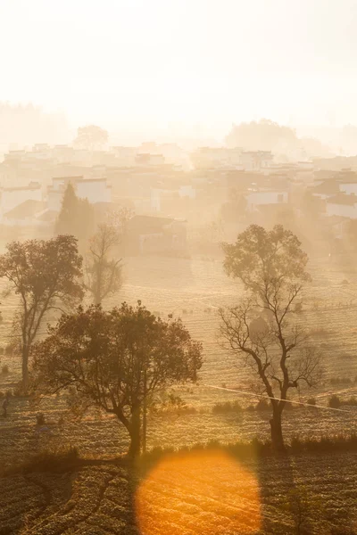 Landschap van de natuur — Stockfoto