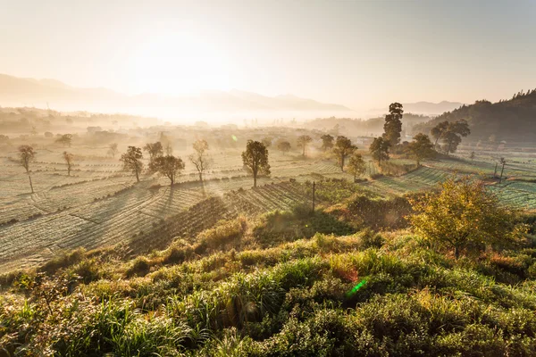 Landschap van de natuur — Stockfoto