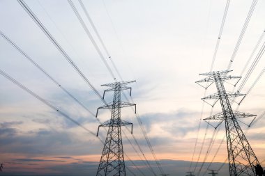 elektrik direkleri