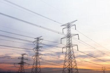 elektrik direkleri