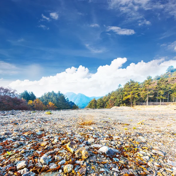 Paesaggio d'autunno — Foto Stock