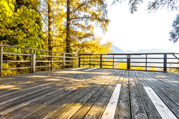 Landschap met houten plank — Stockfoto