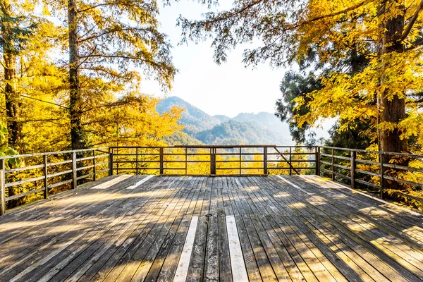 Landschap met houten plank — Stockfoto