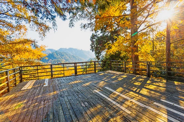 Paesaggio con tavola di legno — Foto Stock