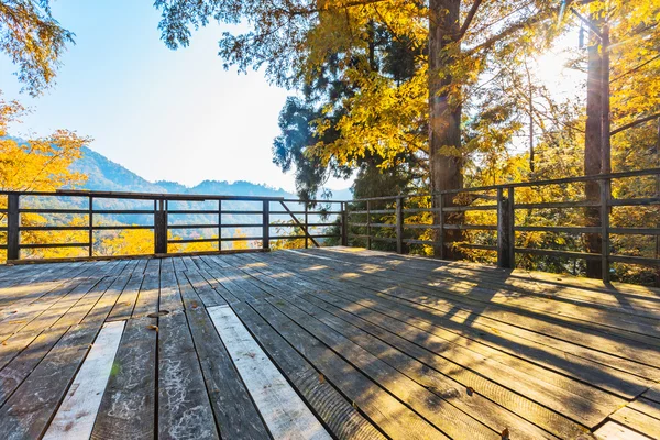 Herfstlandschap — Stockfoto