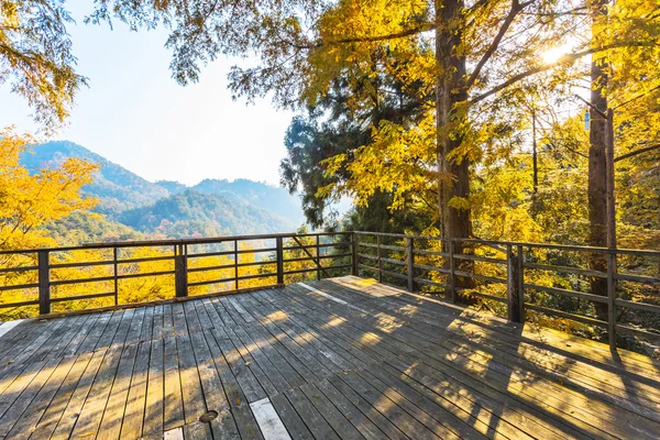 Herfstlandschap — Stockfoto