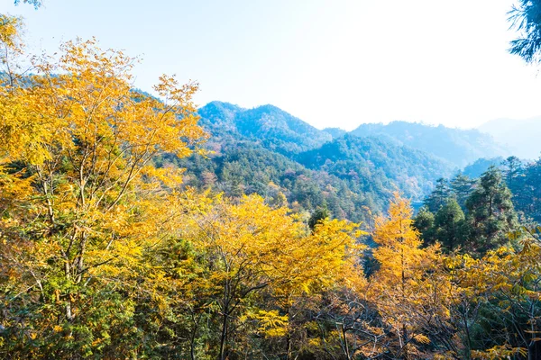 秋の風景 — ストック写真