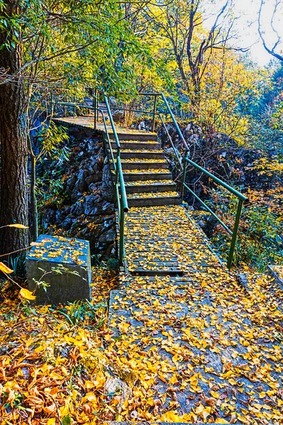 Autumn hill — Stockfoto