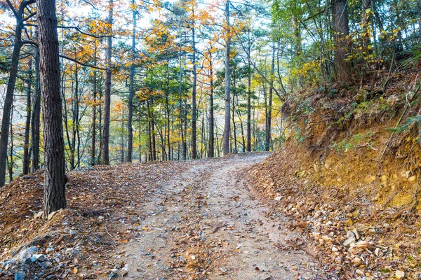 Collina autunnale — Foto Stock