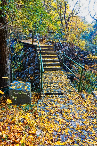 Colline d'automne — Photo