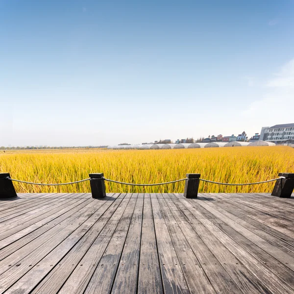 Reisfeld mit Holzbrett — Stockfoto