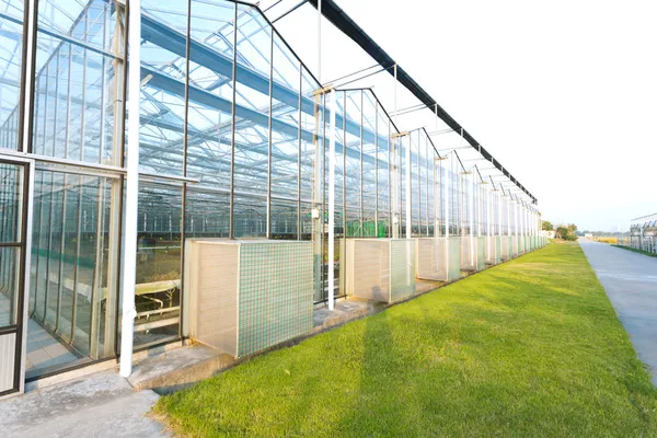 Background of a commercial greenhouse — Stock Photo, Image