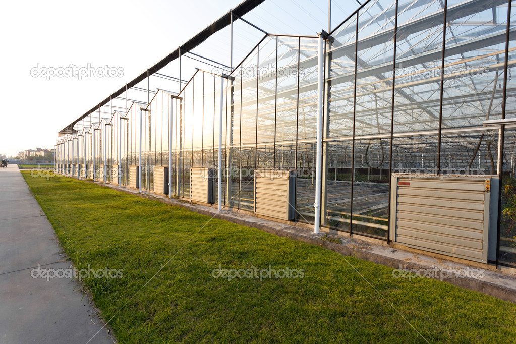 background of a commercial greenhouse
