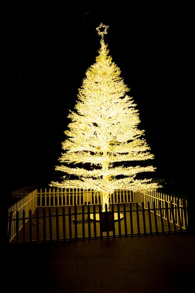 Christmas tree at night, in plaza — Stock Photo, Image