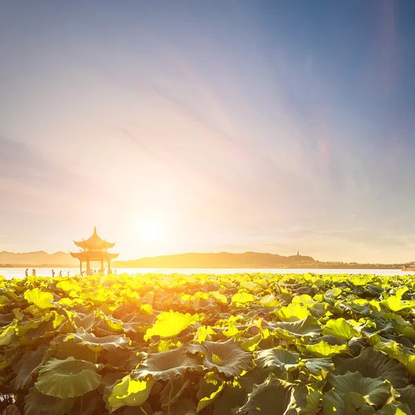 Pavilion in west lake with a slice of lotus — Stock Photo, Image