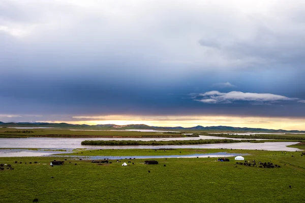 Zelená louka s jezerem v pozadí — Stock fotografie