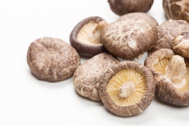 shiitake mantarları