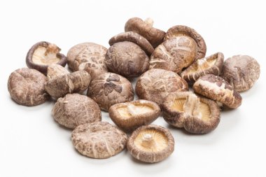 shiitake mantarları