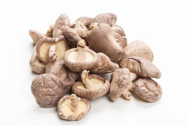 shiitake mantarları