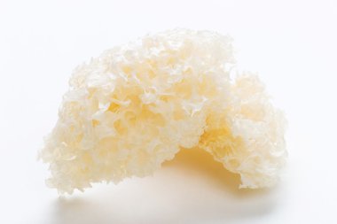tremella
