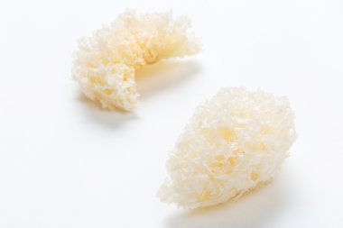 tremella