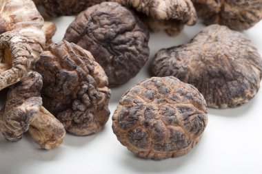 shiitake mantarları