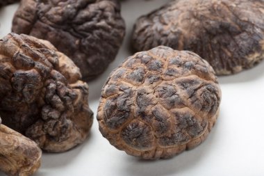 shiitake mantarları