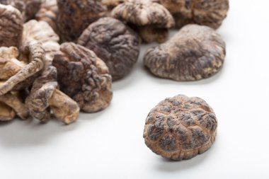 shiitake mantarları