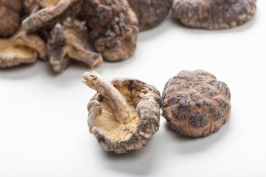 shiitake mantarları