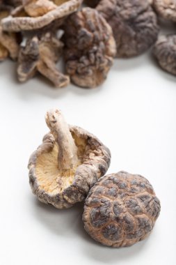 shiitake mantarları