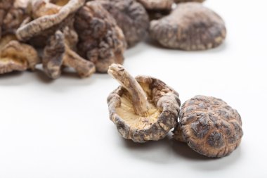 shiitake mantarları