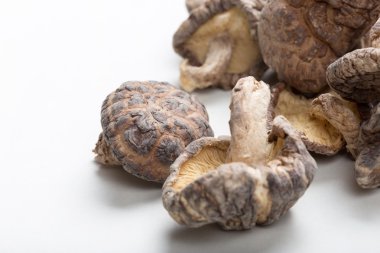 shiitake mantarları