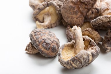 shiitake mantarları