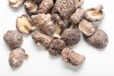 shiitake mantarları