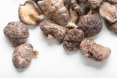 shiitake mantarları