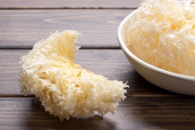 tremella