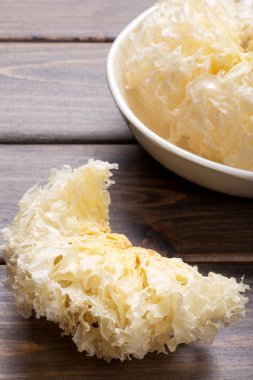 tremella