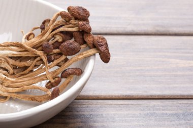kahverengi çay ağacı mantar