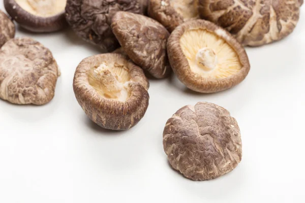 Shiitake Mushrooms — Stock Photo, Image