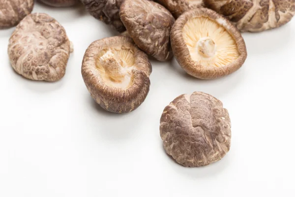 Shiitake Mushrooms — Stock Photo, Image